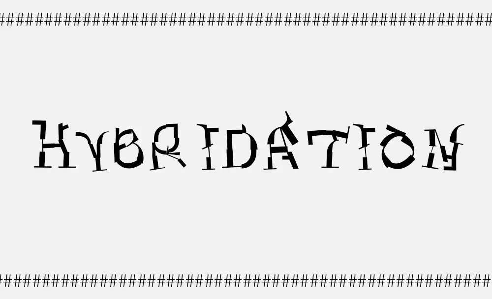 Projet typographique - Hybridation typographique